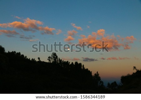 beautiful sunset of the day in the sky with pink clouds and a full moon, against the background of trees in the dark, uniqueness is fascinating