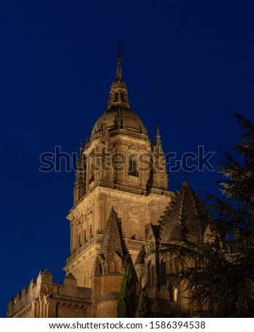 Bell tower of Salamanca Spain main New Chatedral. Night photo.