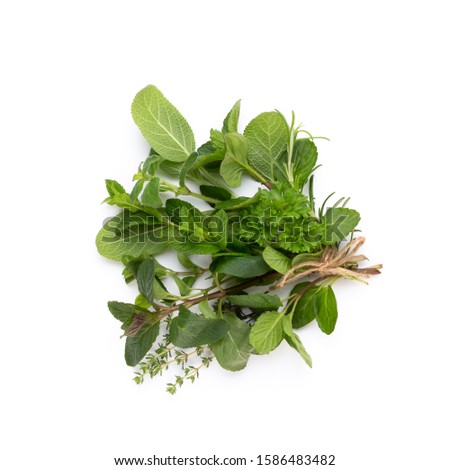 Spice plant isolated on white background. Top view. Flat lay pattern.