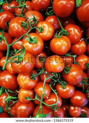 organic tomato on the vine in local vegetable market