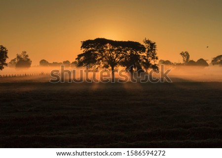 The beam from the morning sun to the tree Royalty-Free Stock Photo #1586594272