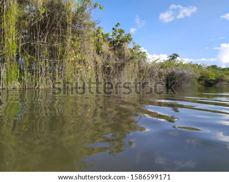 Tapajos River- Lagoon- Para- Brasil