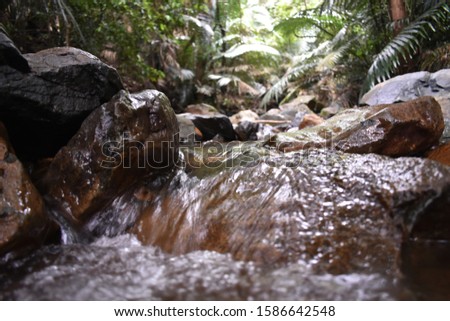 water cutting through the rocks between the forest