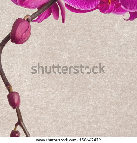 Floral background paper