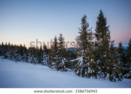 Fascinating picturesque landscape of a snowy slope against the backdrop of the forest and hills on a sunny frosty winter day. Winter holidays concept. Copyspace