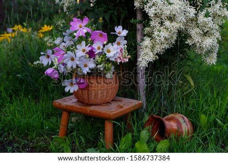 Beautiful summer gardening composition. Bouquet of red flowers in a wicker basket on a bench in the summer garden.