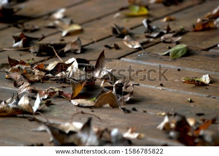 The dried maple leaves are falling on the wooden floor.