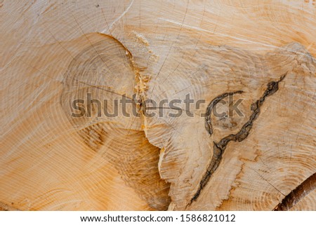 Round non-colored wood, classic wood texture.