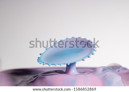 Baby blue and pink colored milk splashes together and is frozen in space with high speed photography
