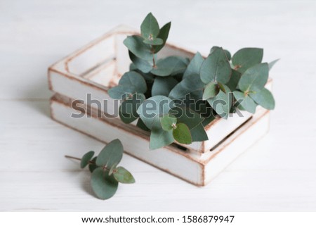 Eucalyptus branches in a wooden  box on a wooden table