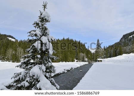 Winter scenery in Switzerland with snow covered pine and ground, water canal and green pine forest with blue sky and clouds. 