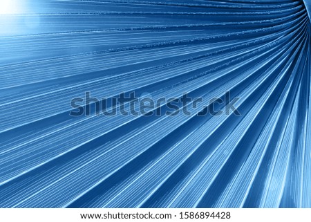 Backlit fresh palm tree leaves in trendy blue color. Tourists attraction. Color of the year 2020 concept. Natural tropical textured abstract background.