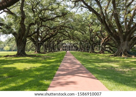 Old Plantation house with trees