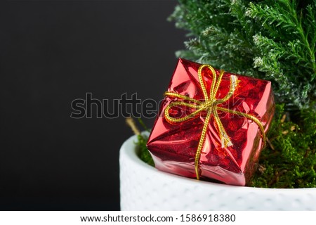 Wrapped gifts under a Christmas tree with copyspace. christmas gift box Royalty-Free Stock Photo #1586918380