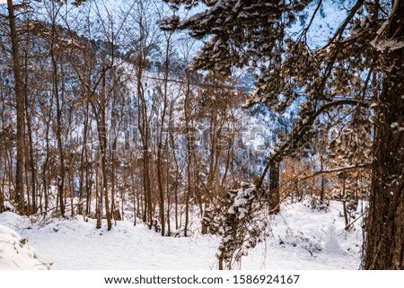 Beautiful Winter scenery on a snowy mountain