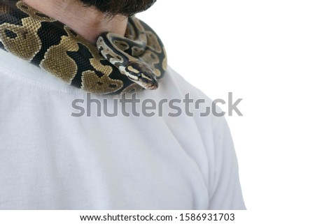 A man with a snake around his neck. White background. Snake on the neck of a man. Close-up.