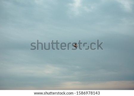 White bird flying against the blue sky with clouds