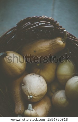 A picture of pumpkins in a brown basket on the floor with a blurry background