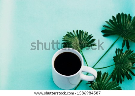 Cup of hot coffee on a fern leaf close-up. Business picture on color background aqua menthe