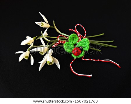 

Handmade crochet four-leaf clover with ladybug, known as Martisor, with red and white string on black background. It is a Romanian traditional symbol of the beginning of spring.

