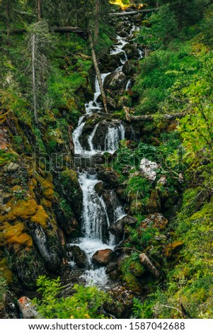 Scenic landscape with beautiful waterfall in forest among rich vegetation. Clear spring water flows from mountainside. Atmospheric woody scenery with mountain creek. Wild plants and mosses on rocks.