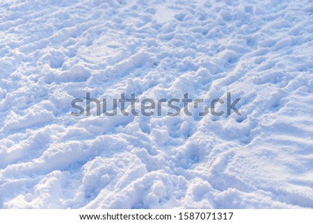 footprints of animals and people in the snow