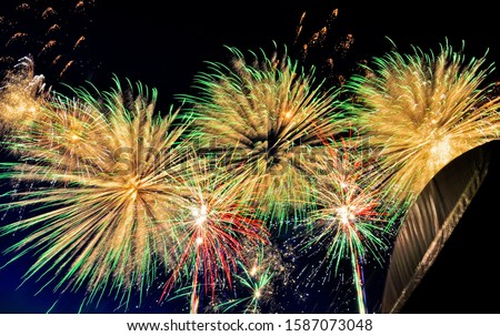 Unusual show of colorful fireworks. Big explosion and beautiful palm shaped effect. Happy New Year. Holiday, celebration, festival. Long exposure time.