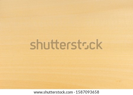 Clean basswood texture background image. Close-up shot with details. Wooden backgrounds. Royalty-Free Stock Photo #1587093658