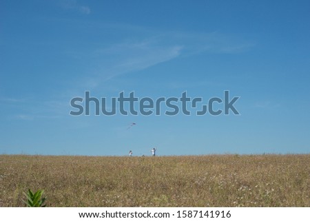Family playing kite outdoor on grass field on clear blue sky background.