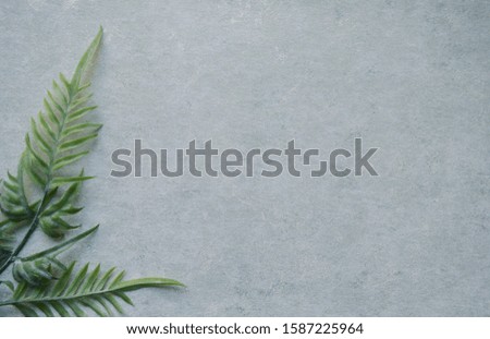 blank card mockup and plant on light blue background
