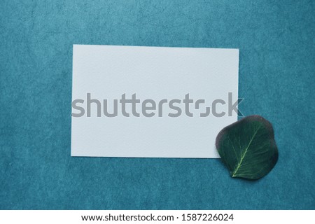 blank card mockup and plant on light blue background