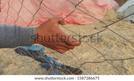 metal net fencing and hand capturing it.