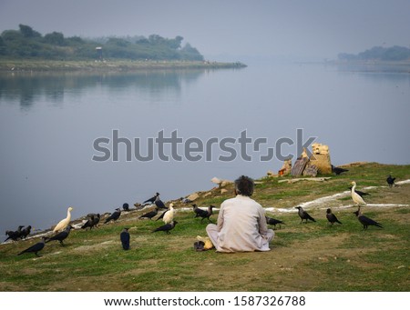 An Indian man feeding birds on riverbank in Agra, India. Most Indian people do not eat birds and wild animals.