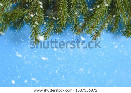 christmas tree branches frame on a blue background. falling snow. space for text