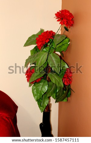 red color flower, hand made, view