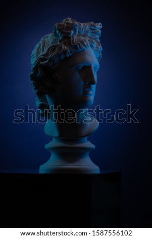 Plaster statue of a bust of Apollo Belvedere in blue local light on a blue background