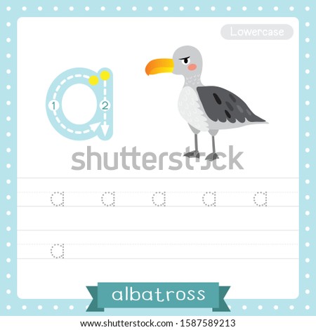 Letter A lowercase cute children colorful zoo and animals ABC alphabet tracing practice worksheet of Albatross for kids learning English vocabulary and handwriting vector illustration.