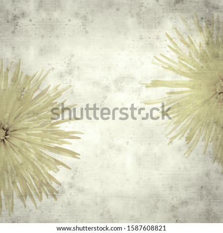 textured stylish old paper background, square, with yellow star chrysanthemum 