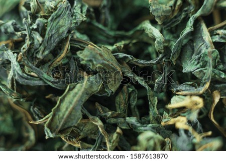 Close-up - collection of dried green tea leaves .Top view. Macro photo.