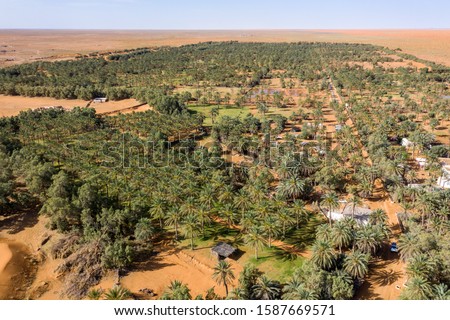 Drone aeriap photo of oasis in sahara deser, Ksar Ghilane, palms and desert