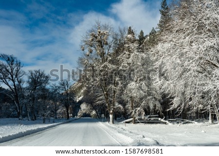 Road in forest of Yosemite National Park. Winter landscape. California, USA.