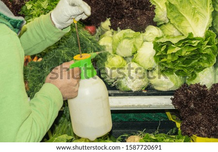 a man sprays water on green vegetables 