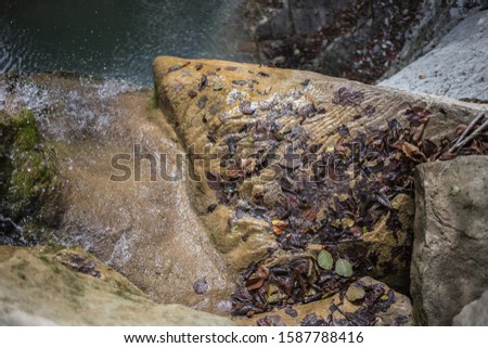A triangular stone under water. Waterfall top view. photo of the autumn river. old and wet leaves in the water. Screensaver for your desktop. Mountain cold spring.