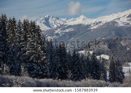 The beautiful winter setting of the Weissensee Nature Park. Panorama with snow capped mountain and forest, Lake Weisensee, Carinthia, Alps, Austria