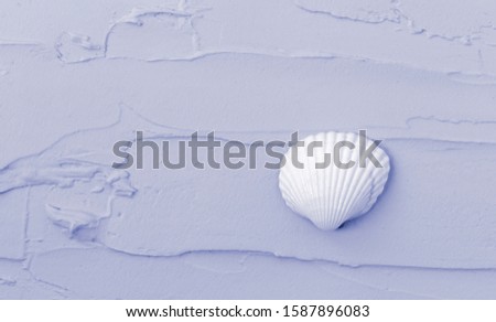 Isolated seashell on a purple background. Close-up of shell.