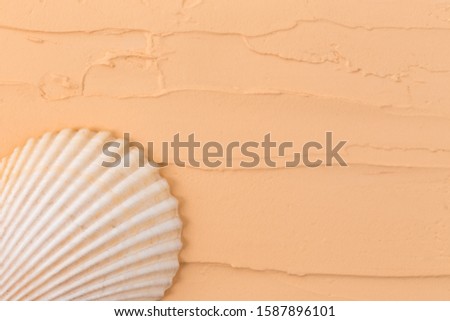 Isolated seashell on a beige background. Close-up of shell.