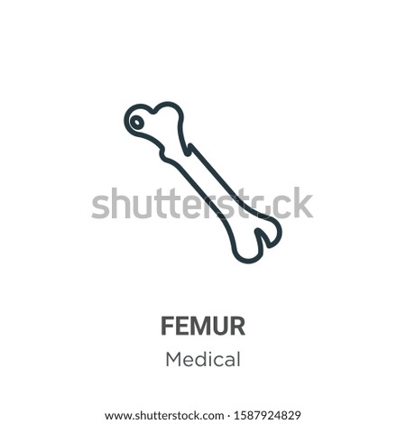 Femur outline vector icon. Thin line black femur icon, flat vector simple element illustration from editable medical concept isolated on white background