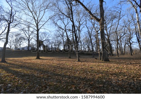 A wilderness with plenty of trees in Kansas City, Missouri. Picture taken on a cold day in December.