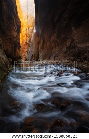 This is the picture of the Narrows at Zion National Park during Fall Season in Utah, USA
