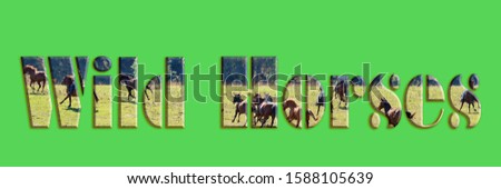 Wild Horses - text with image of wild horses racing across the plain forming the letters, suitable for immediate web, print, professional or personal use